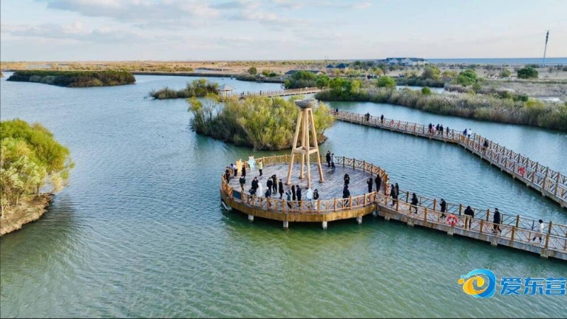 领该产业发 领该产业发