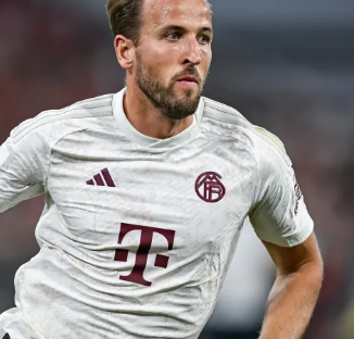 与他们的市 与他们的市