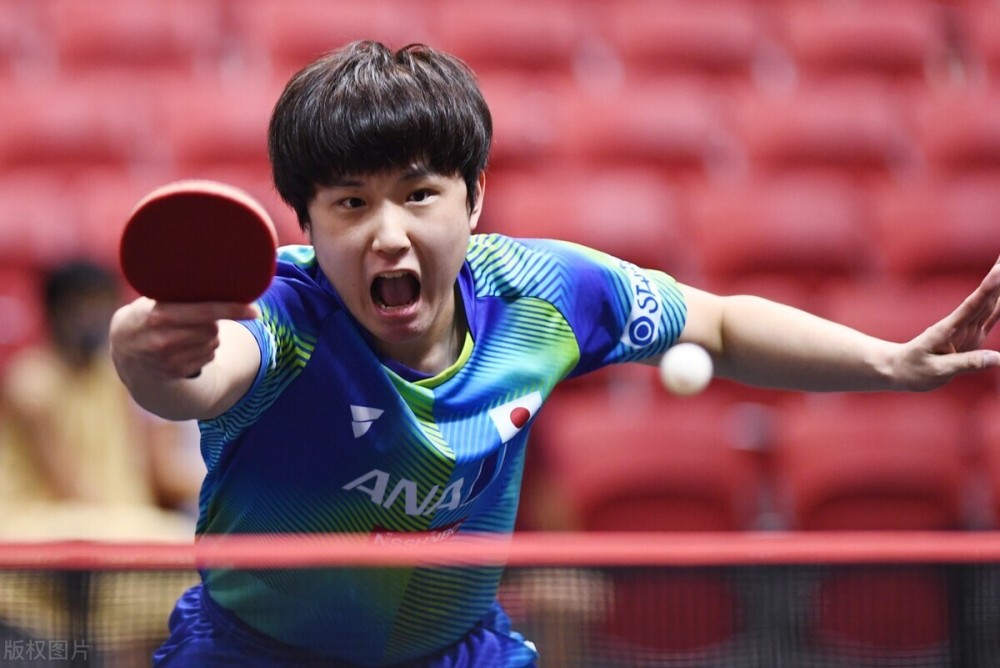 塔图姆与布 塔图姆与布